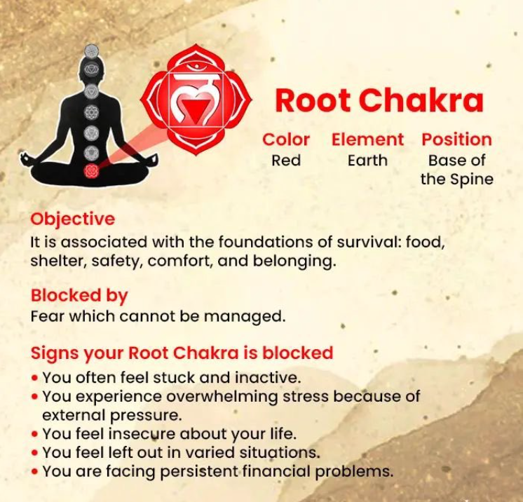 Watermelon Wisdom (Root Chakra) Superfood Juice Cleanse